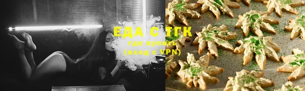 индика Аркадак