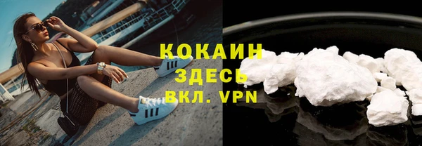 индика Аркадак