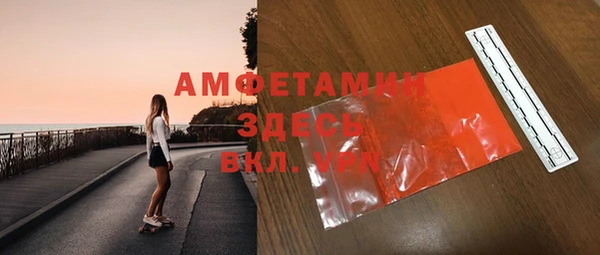 индика Аркадак