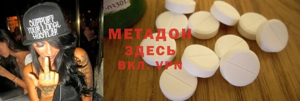 индика Аркадак