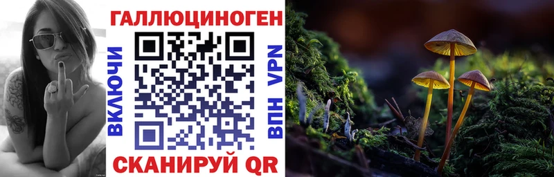 Галлюциногенные грибы Psilocybine cubensis Аркадак